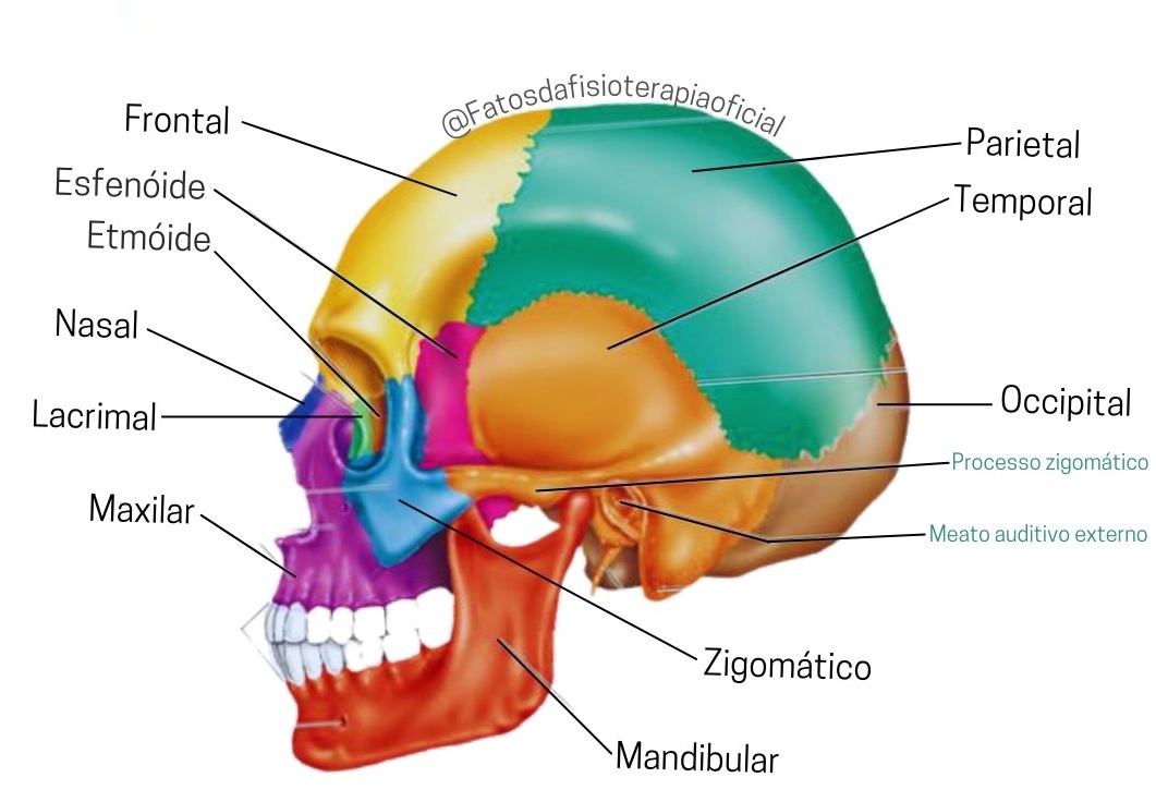 o-que-é-massagem-craniana